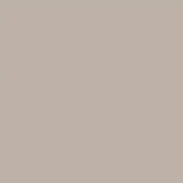 Beige Seta Opaco